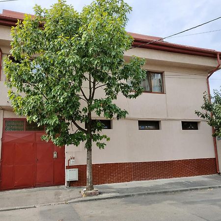 Z Villa Bucarest Extérieur photo